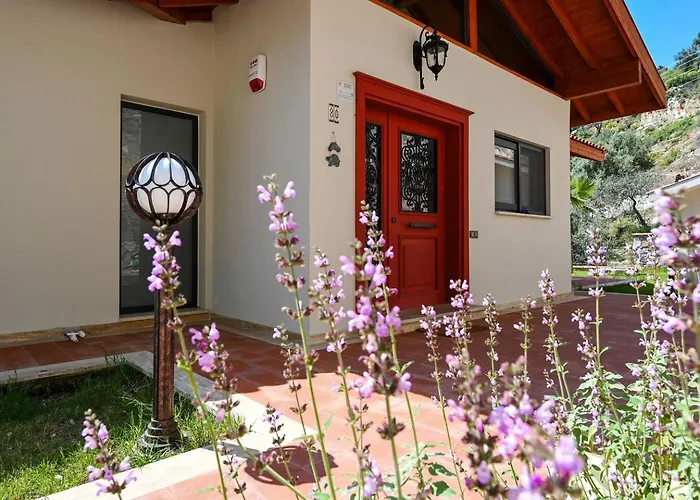 Olive Vista Villa *